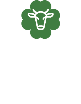 Doce de leite Guaxupé